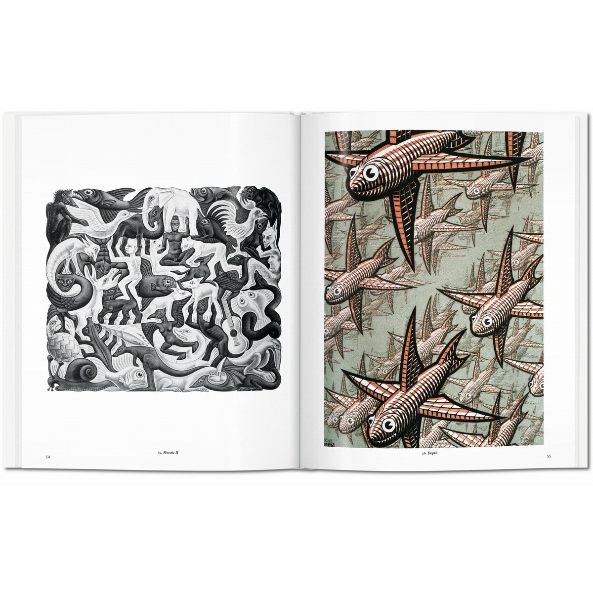 M. C. Escher. Stampe e disegni (Capa dura) 5