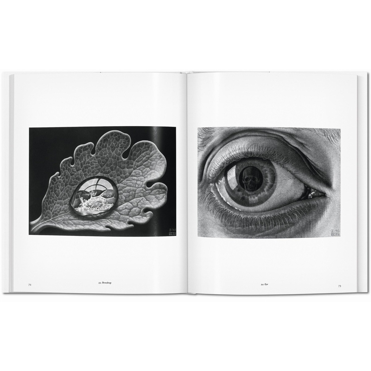 M. C. Escher. Stampe e disegni (Capa dura) 6