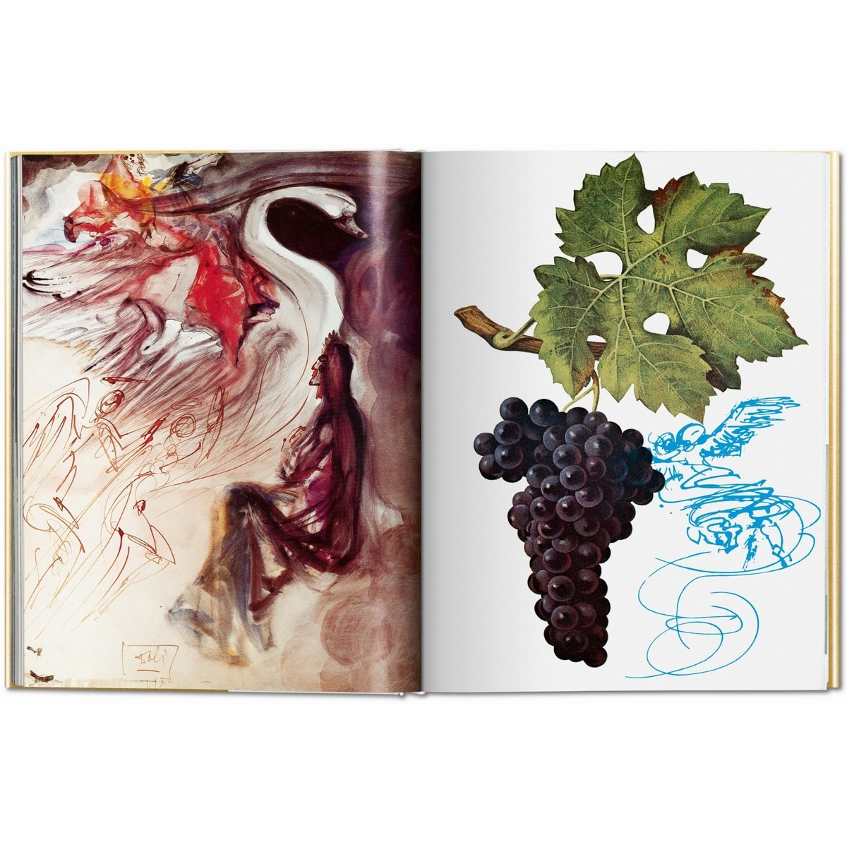 Dalí. Les Vins de Gala (Capa dura) 3