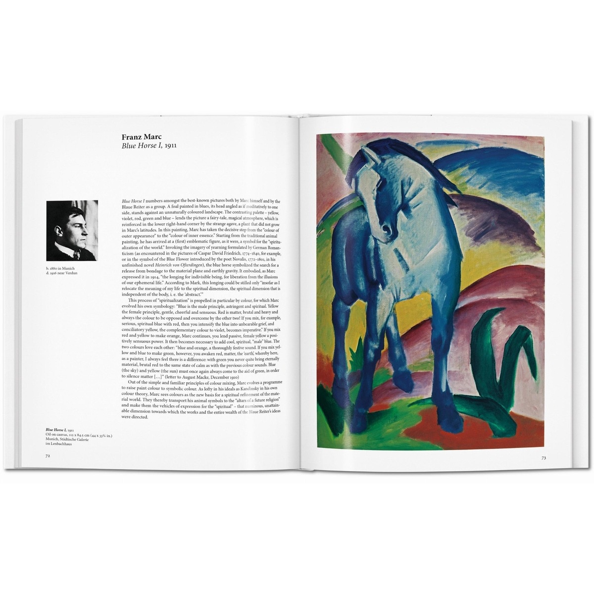 Der Blaue Reiter (Capa dura) 5