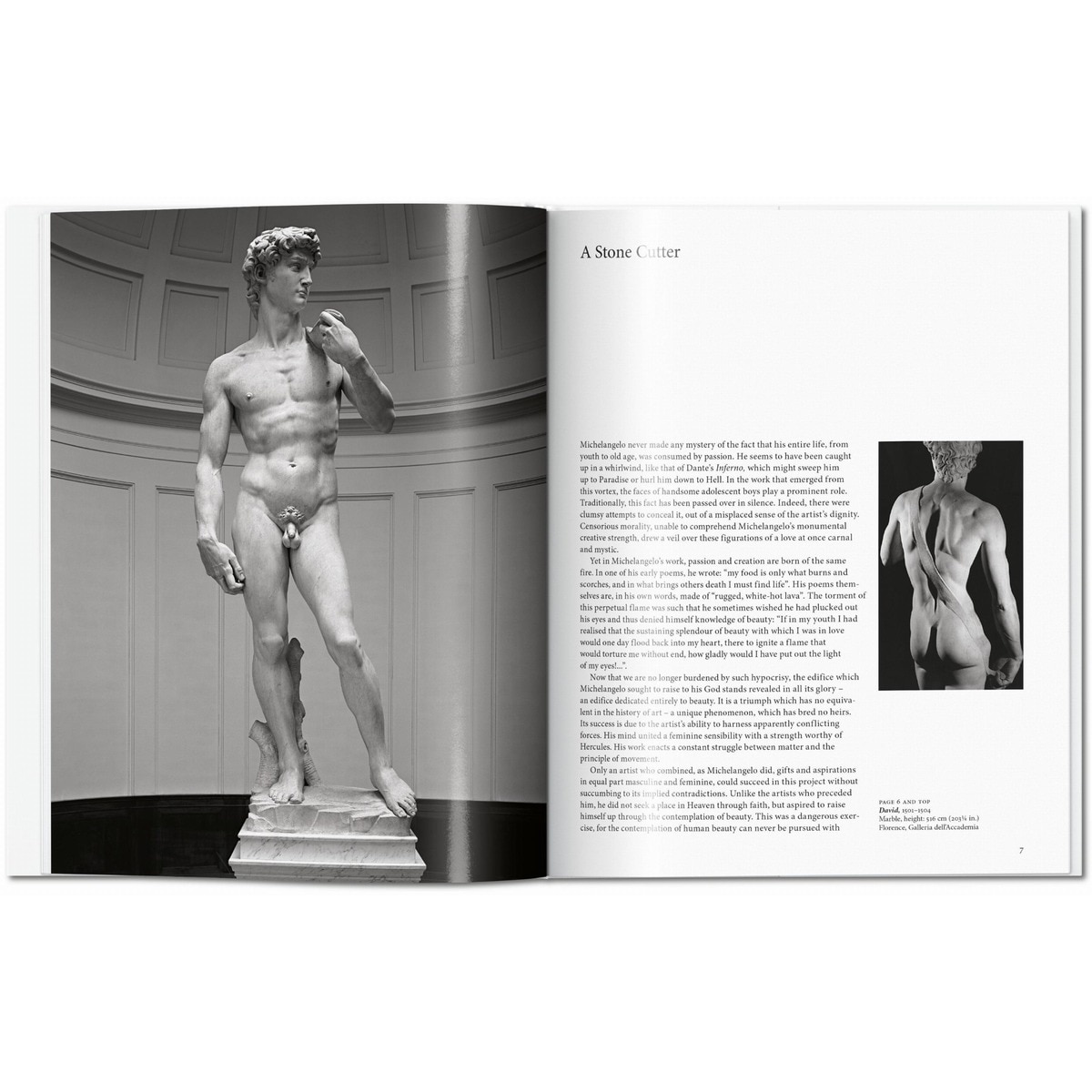 Michelangelo (Capa dura) 2