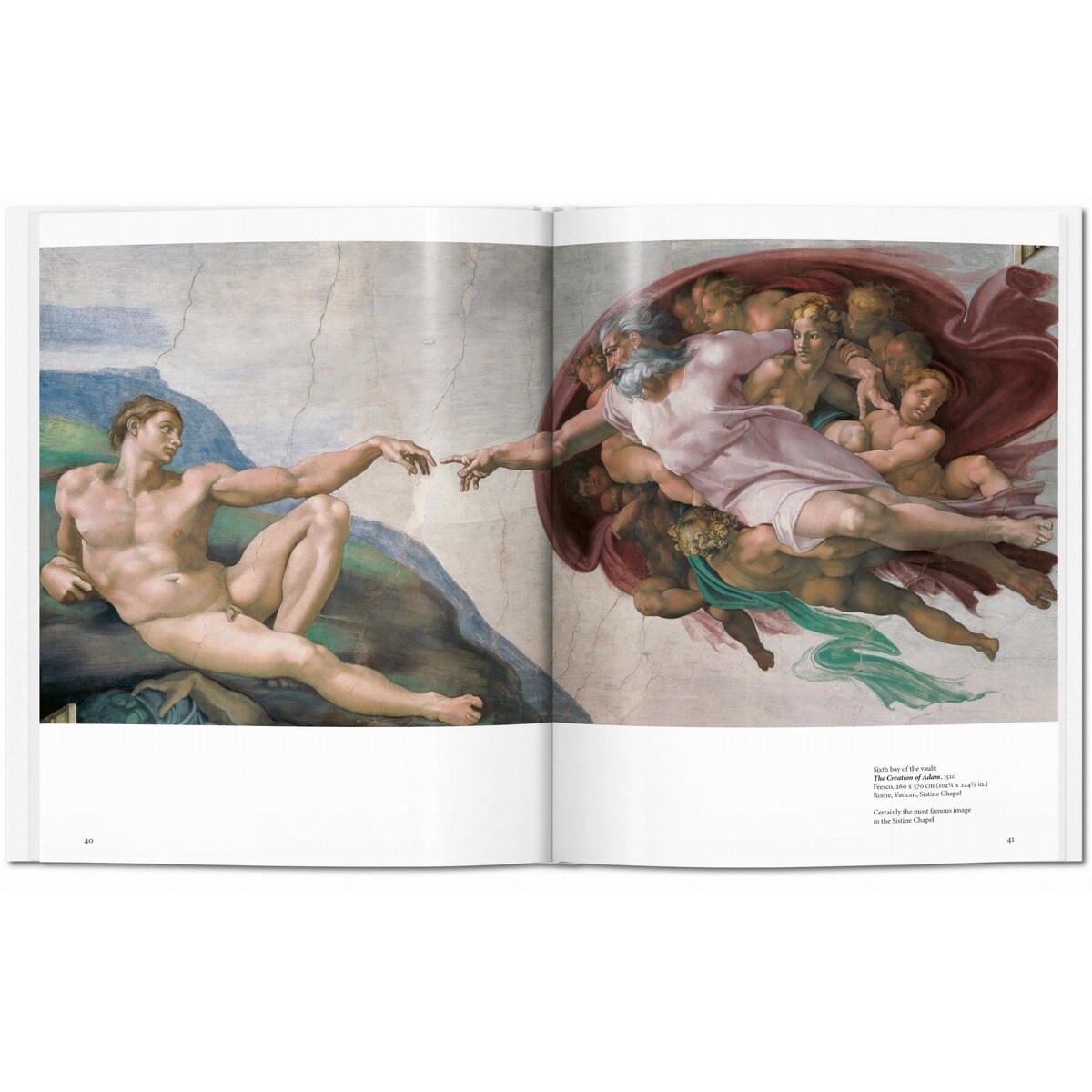 Michelangelo (Capa dura) 4