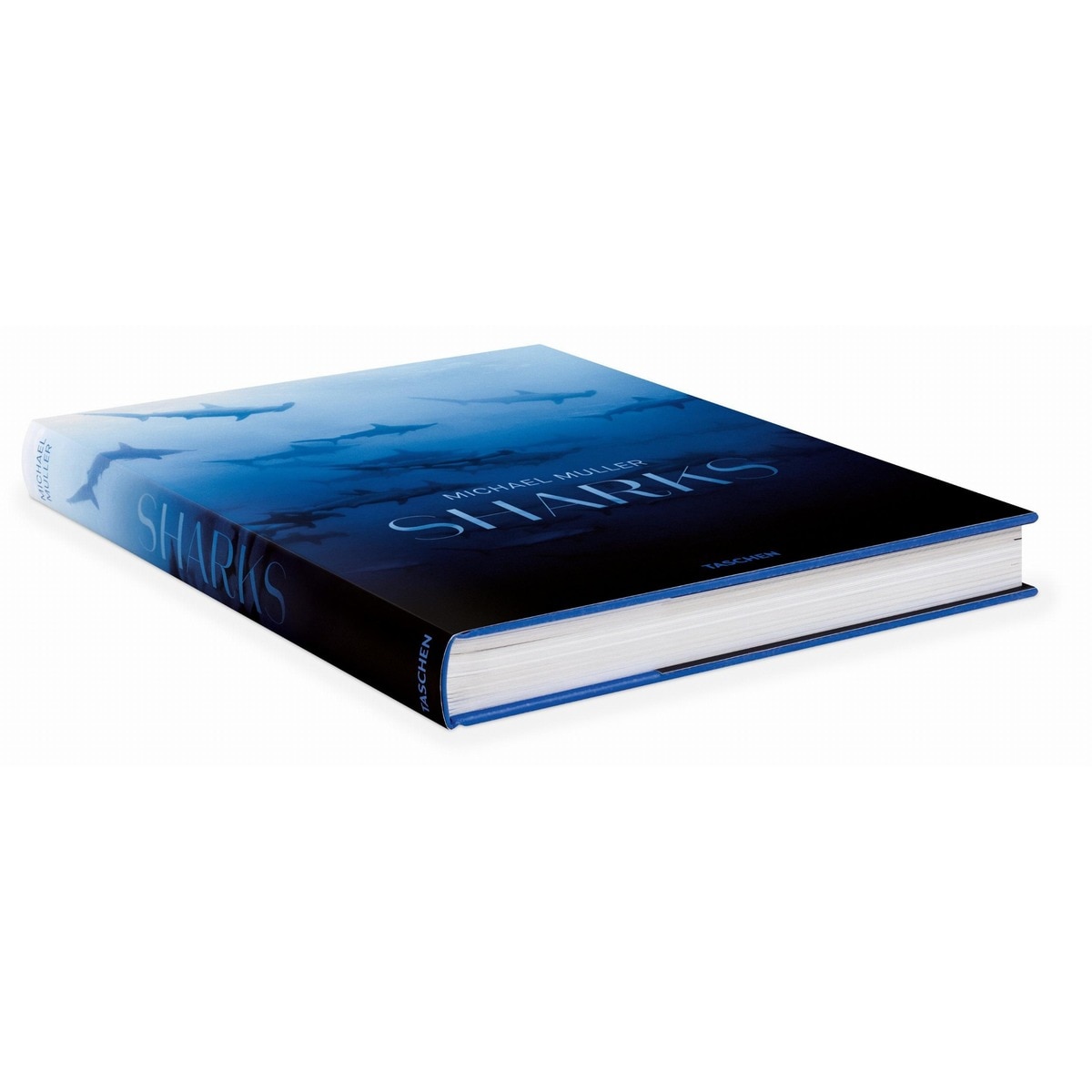 Michael Muller. Squali (Capa dura) 12
