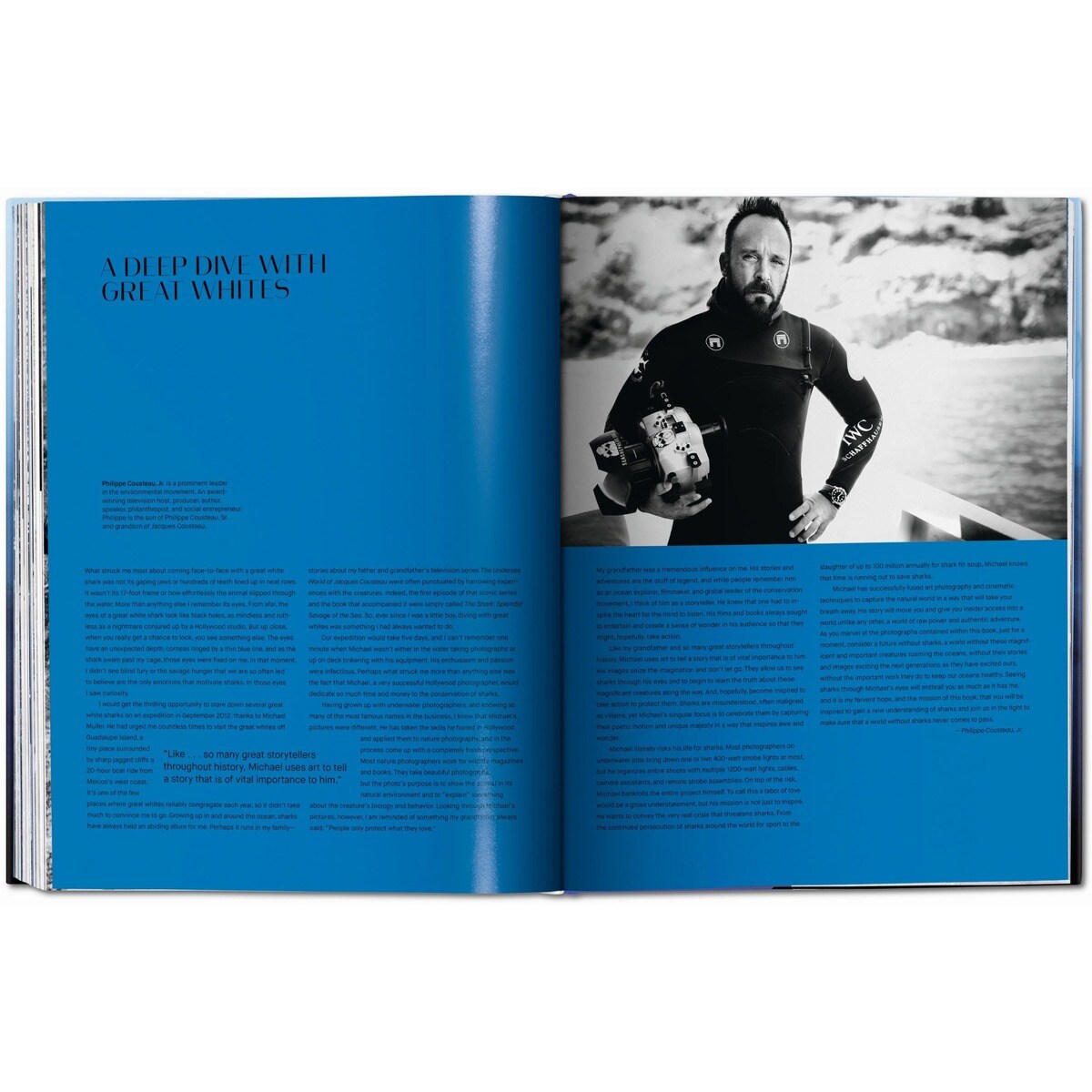 Michael Muller. Squali (Capa dura) 4
