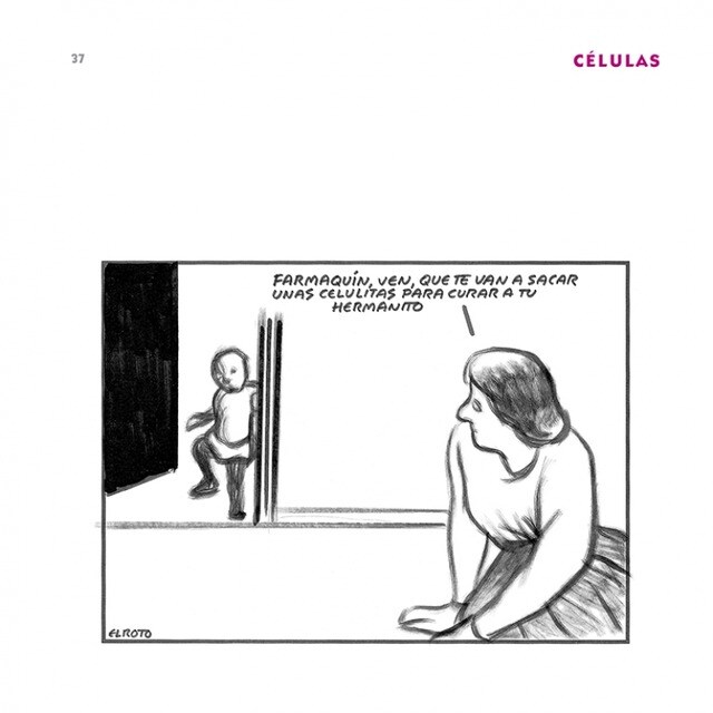 Vocabulario figurado(Tapa dura) 5