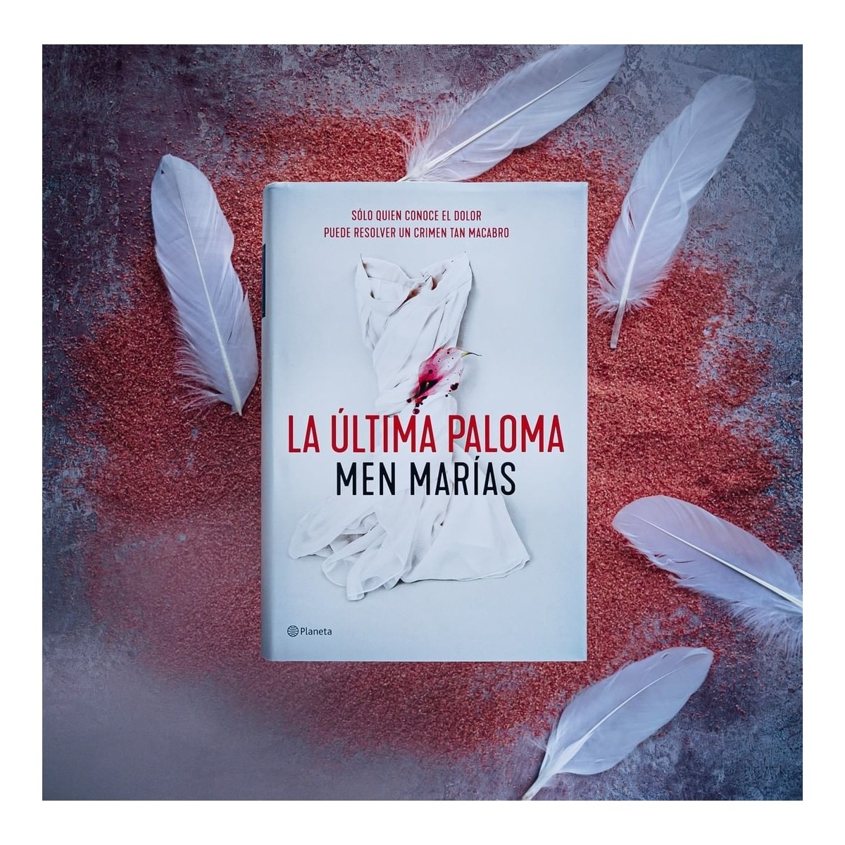 La última paloma(Tapa dura) 2