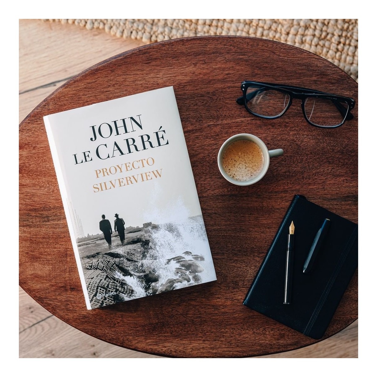 Proyecto Silverview (Capa dura) 2