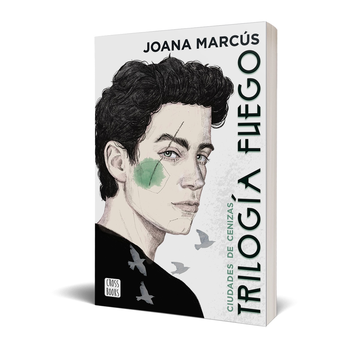 Trilogía Fuego 2. Ciudades de cenizas (Capa mole com abas) 4