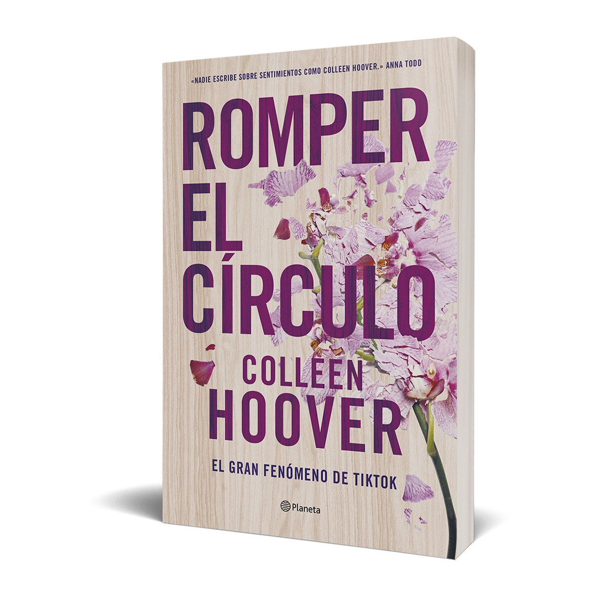 Romper el círculo (It Ends with Us) 10