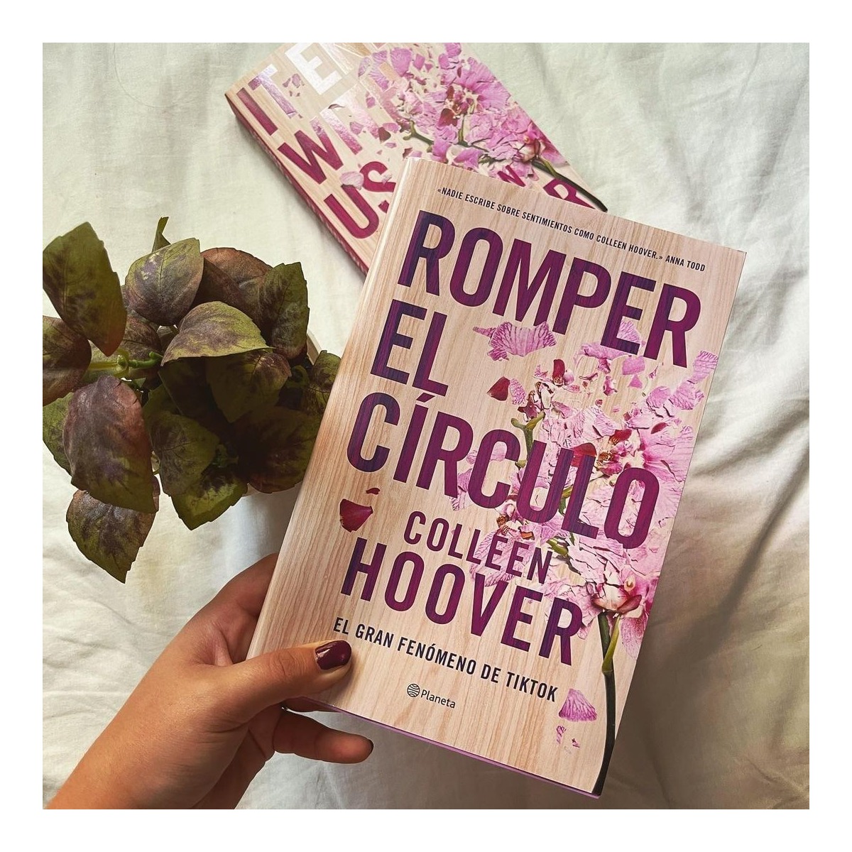 Romper el círculo (It Ends with Us) 5