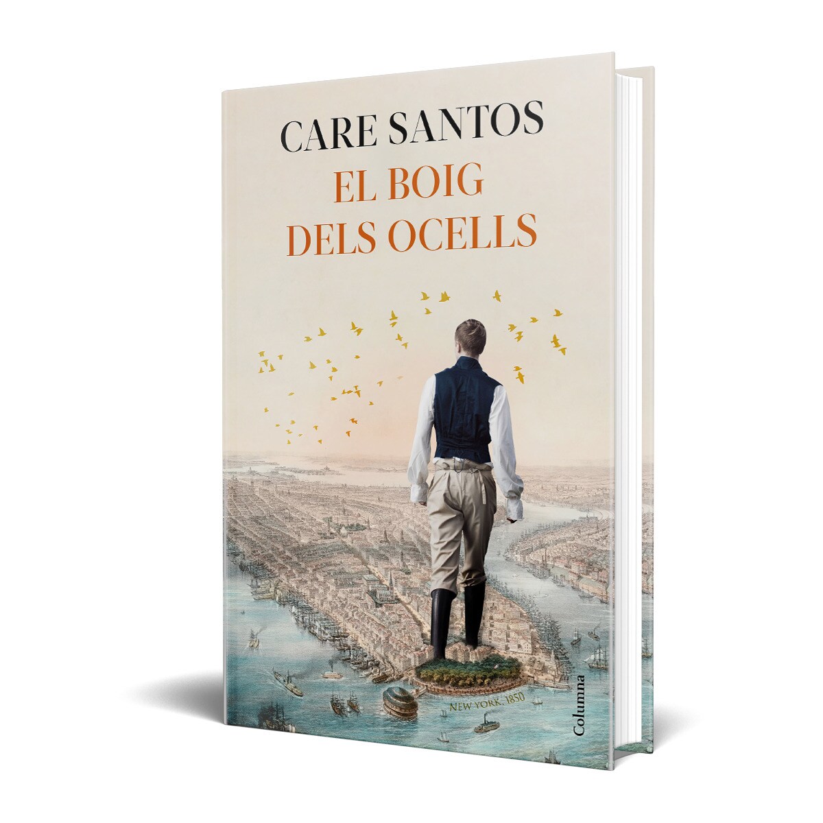 El boig dels ocells 2
