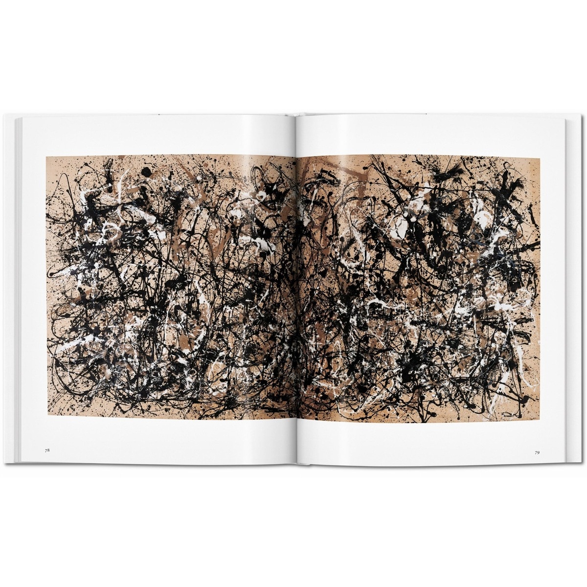 Pollock(Tapa dura) 2