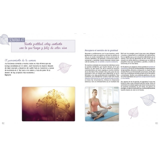 Mi diario de meditación: Un año de actividades para conseguir la paz interior (Tapa blanda) 2