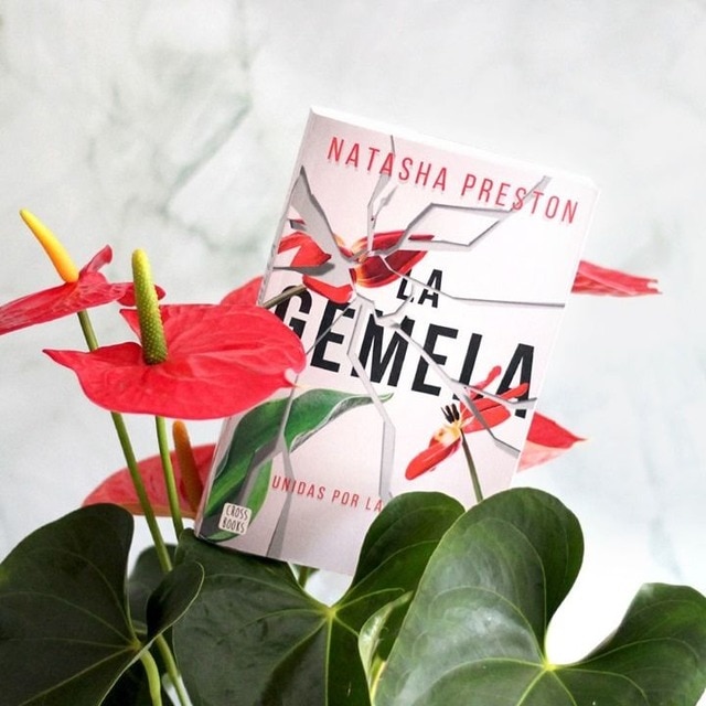 La gemela (Capa mole com abas) 2