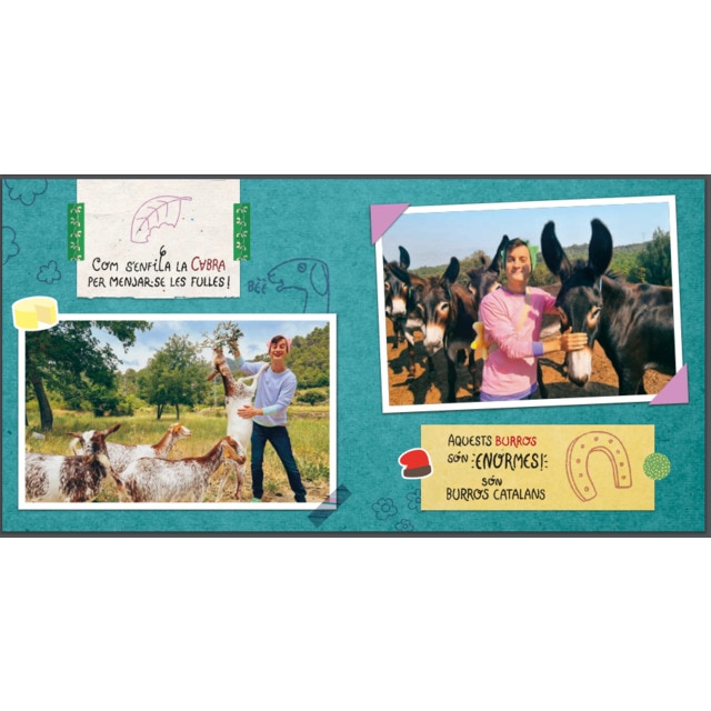 Les excursions d'en Titó 2