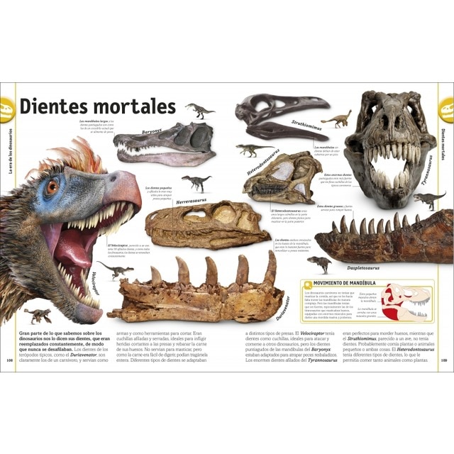 El libro de los dinosaurios (Capa dura) 2