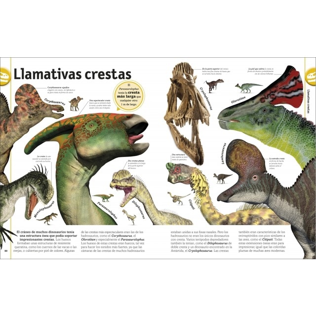 El libro de los dinosaurios (Capa dura) 4