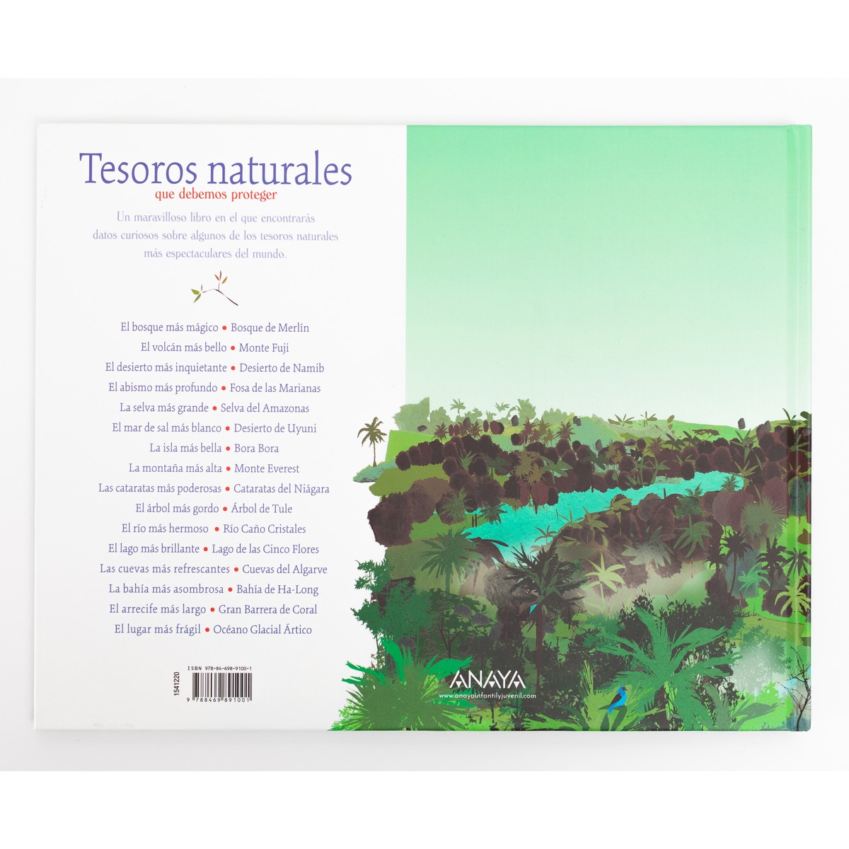 Tesoros naturales(Tapa dura) 2