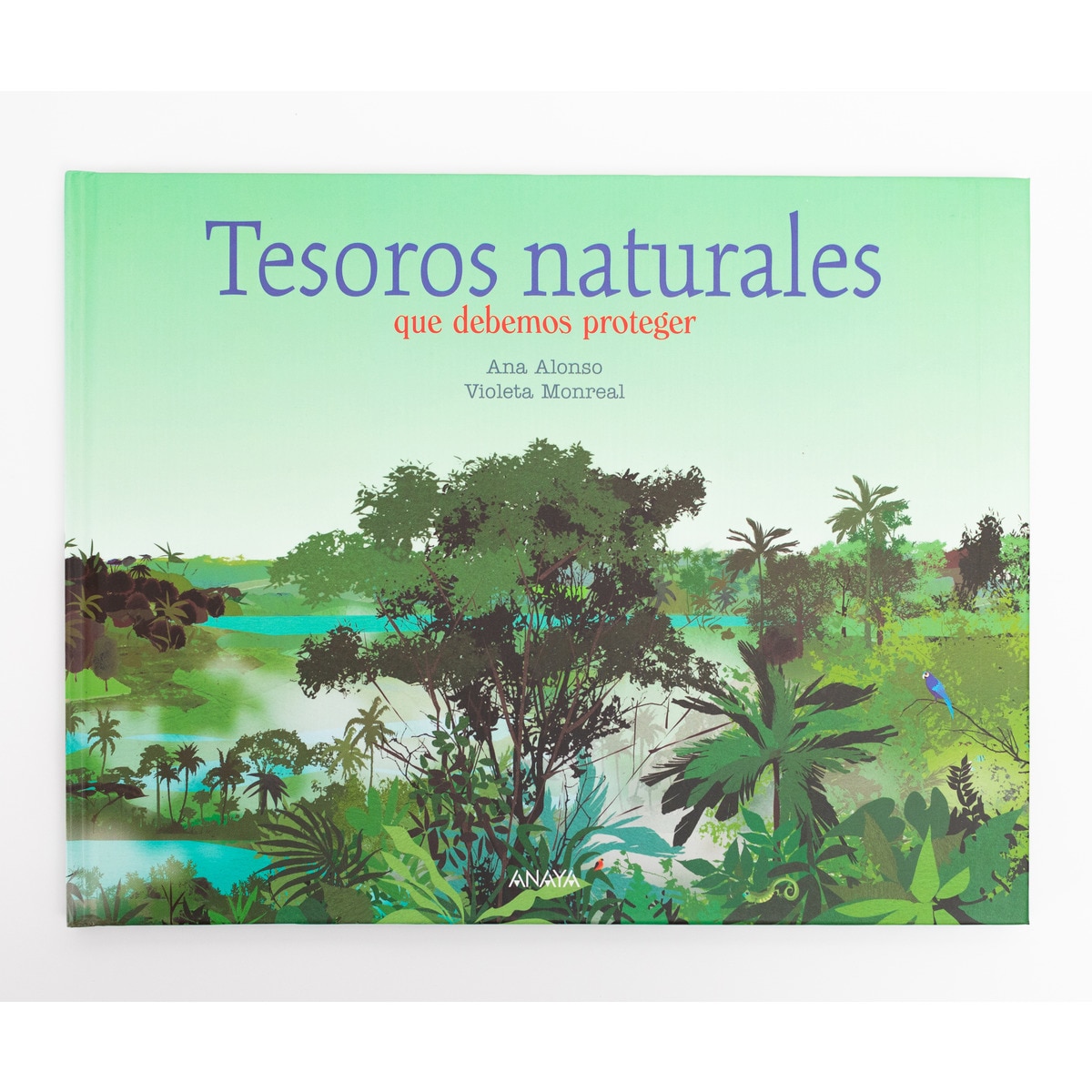 Tesoros naturales(Tapa dura) 5