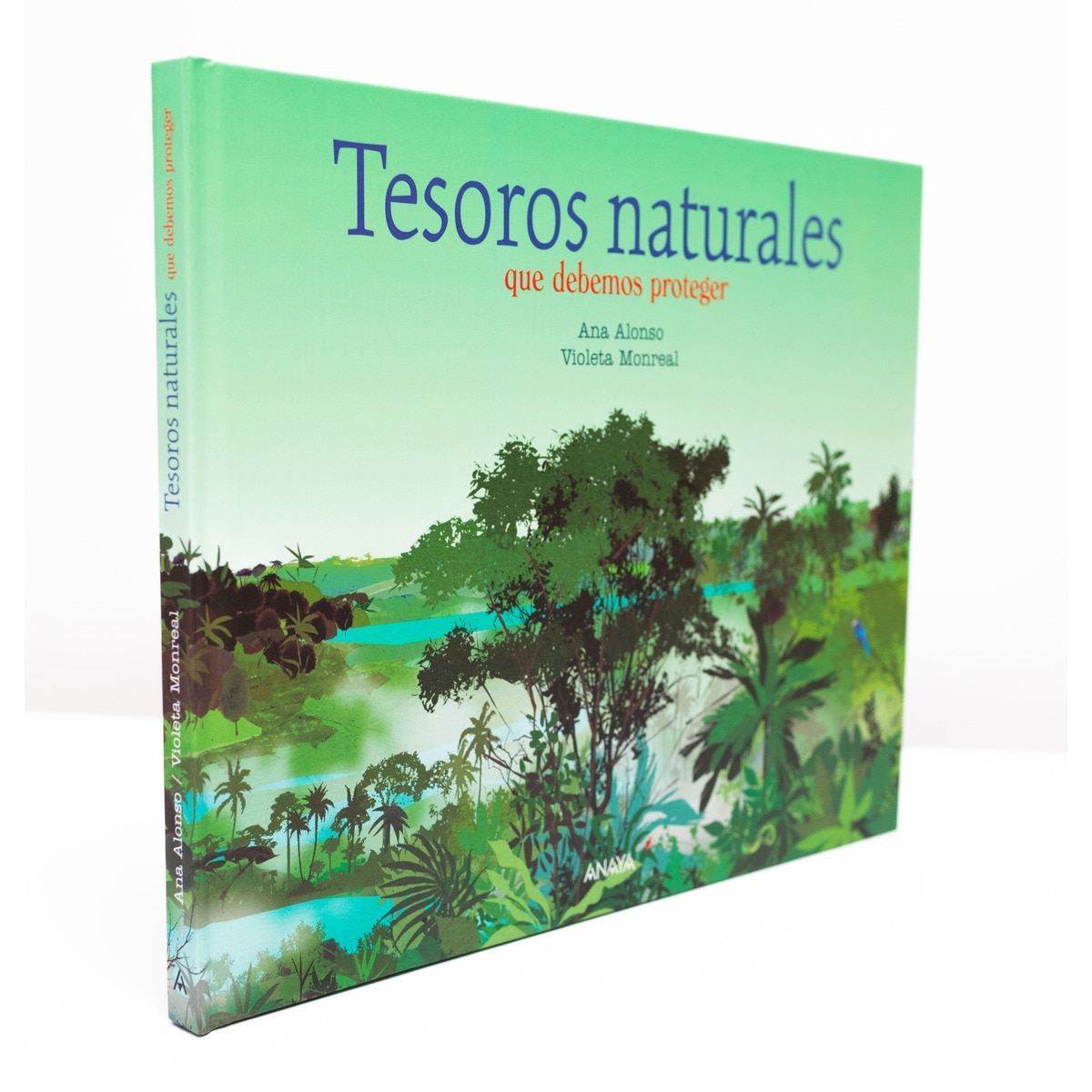 Tesoros naturales(Tapa dura) 6