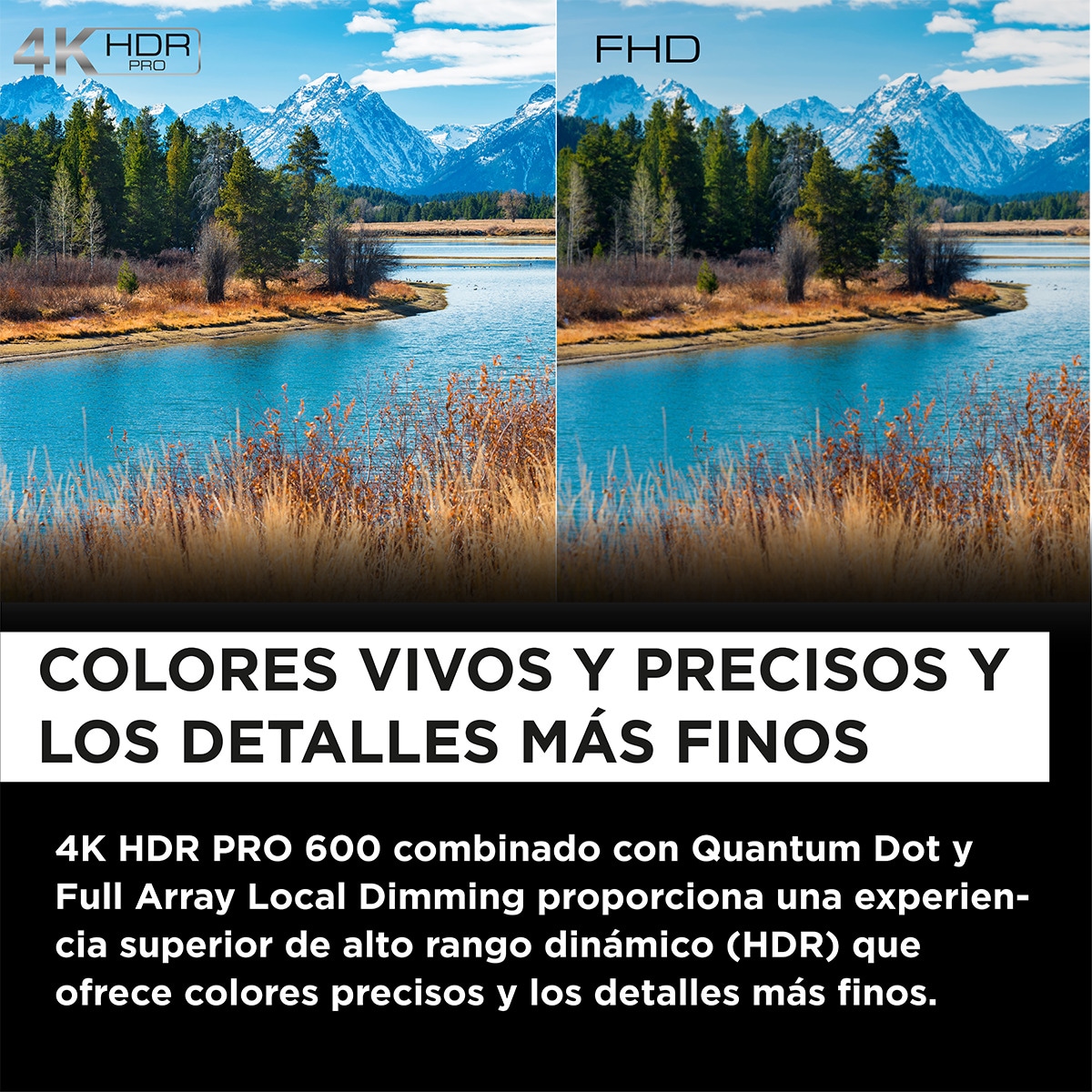 TV QLED 190,5 cm (75") TCL 75C655 PRO, 4K UHD, Smart TV by Google TV, Dolby Vision y Atmos, compatible con Google Assistant Titanio-5