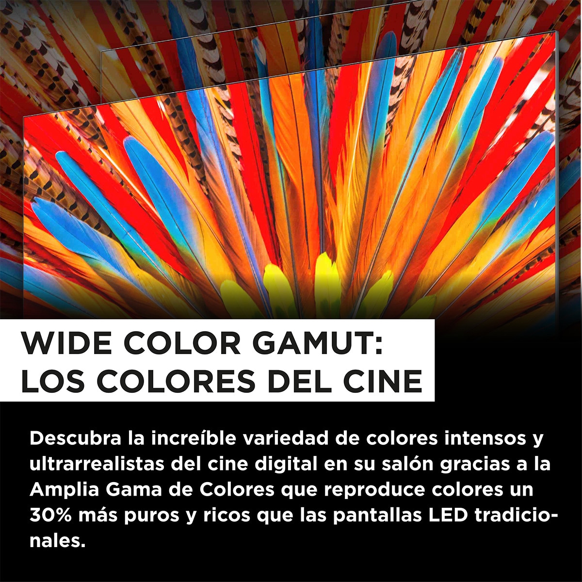 TV LED 190,5 cm (75") TCL 75P755, 4K UHD HDR, Wide Color Gamut, Smart TV by Google TV, Dolby Vision y Atmos, compatible con Google Assistant Titanio-12