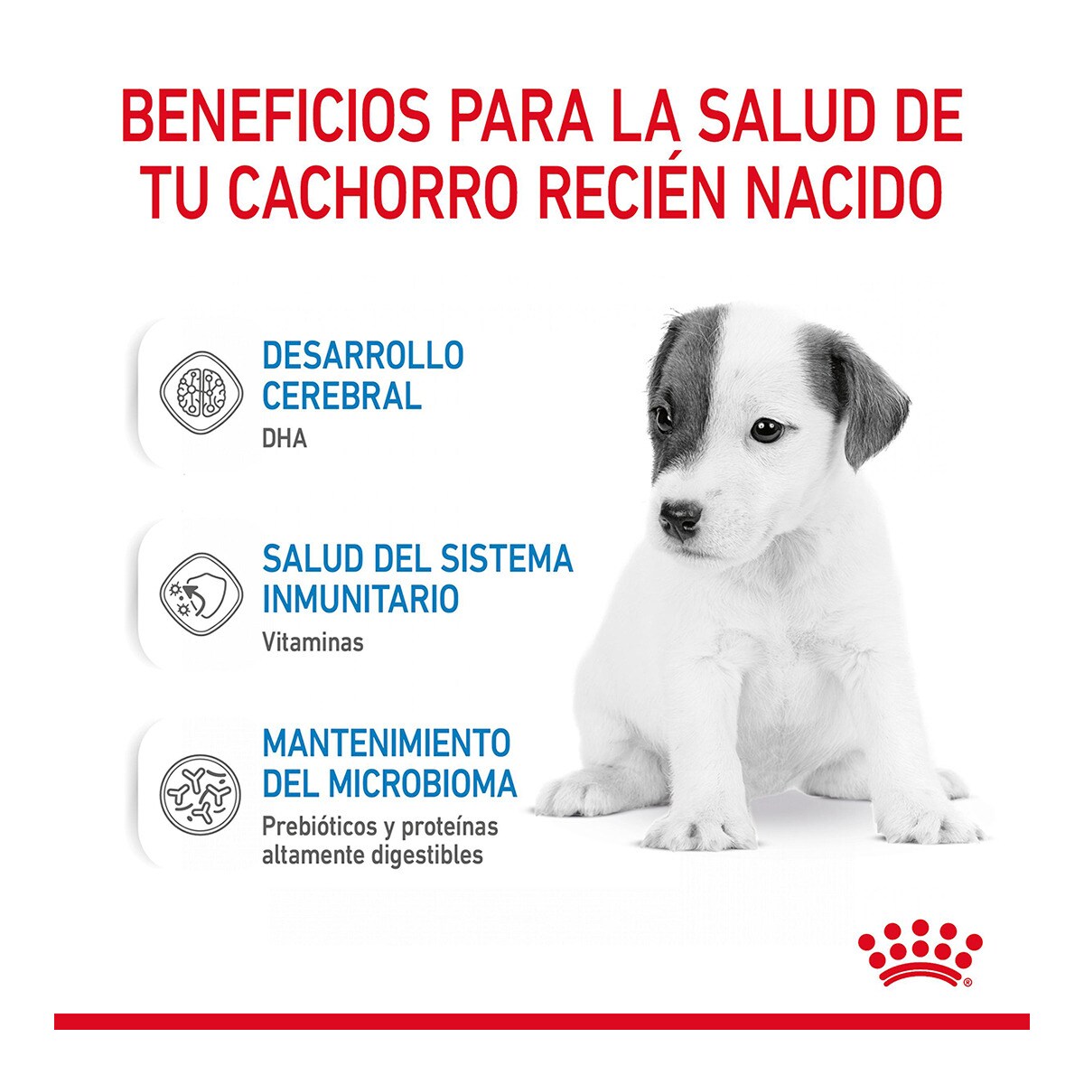 Royal Canin Babydog Milk Leche Para Perros Cachorro 2 Kg | Perros