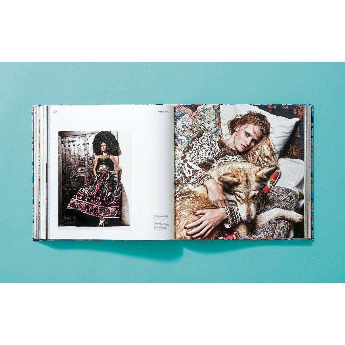 Pucci. Updated Edition (Capa dura) 6