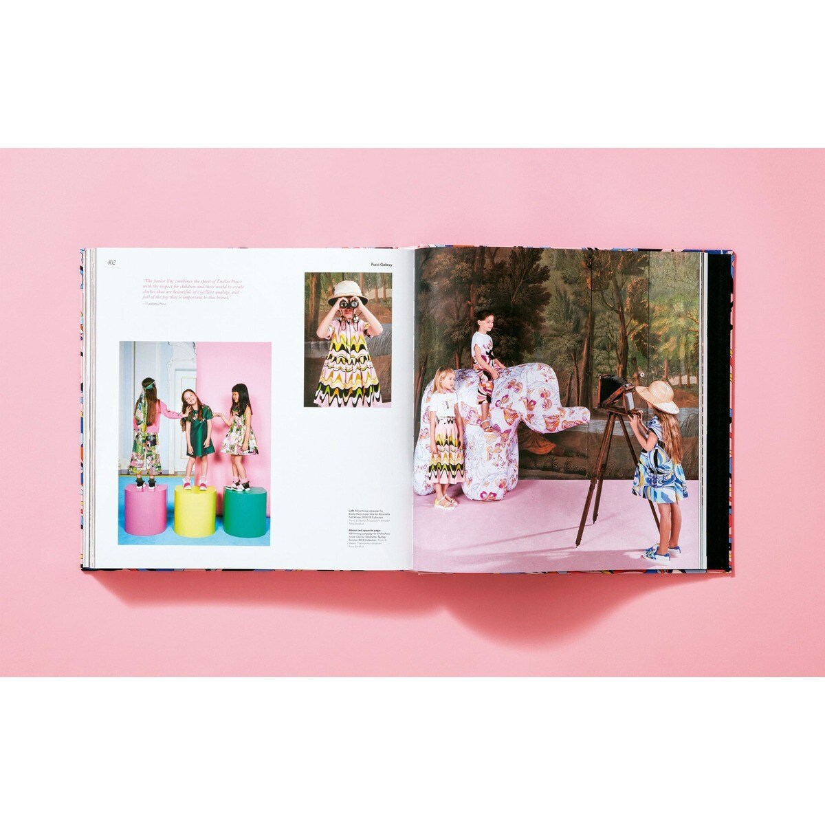 Pucci. Updated Edition (Capa dura) 14