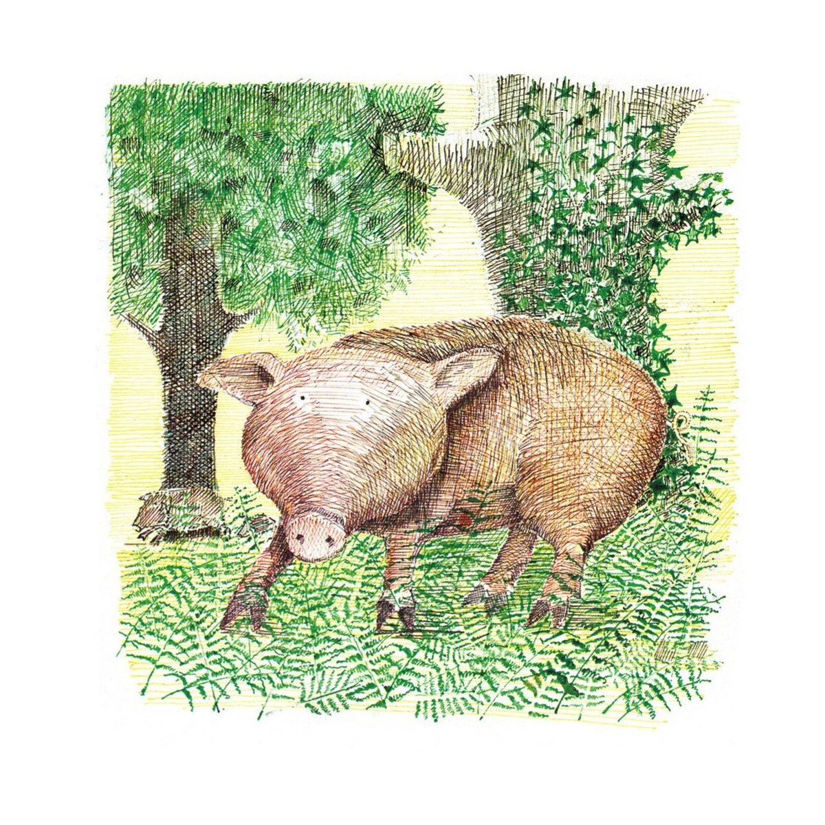 La excursión del señor Gumpy (Capa dura) 5