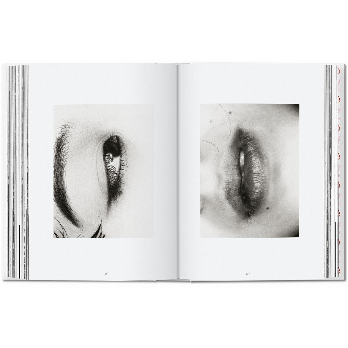 Araki. 45th Ed. (Capa dura) 7