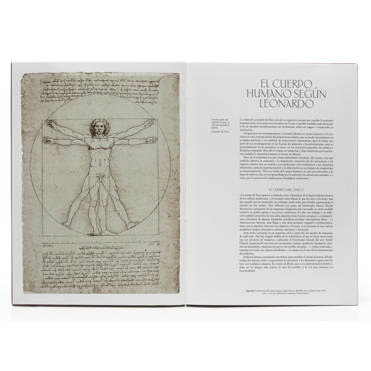 Leonardo da Vinci. La aventura anatómica (Capa dura) 3