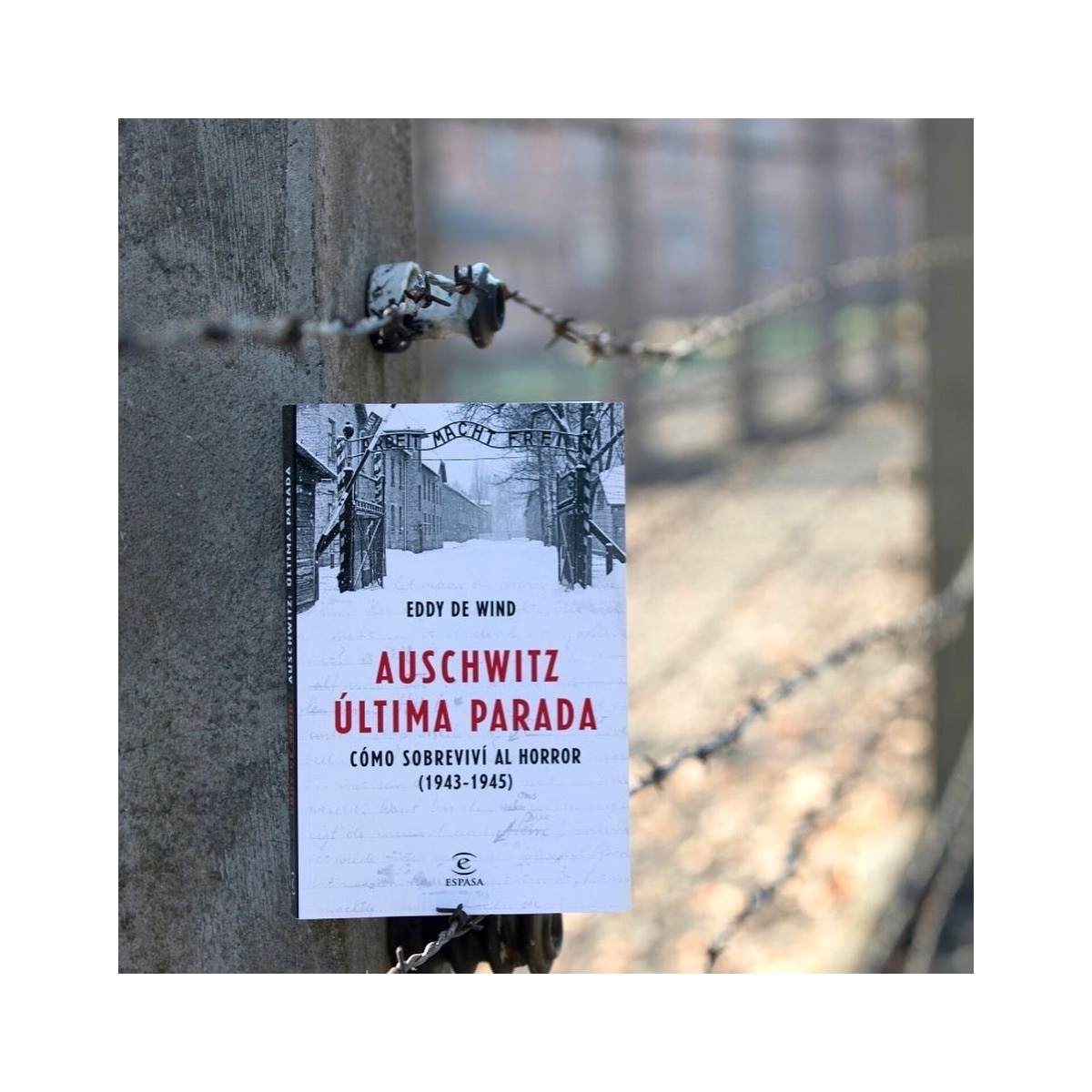 Auschwitz: última parada: Cómo sobreviví al horror (1943-1945) (Bolsillo) (Tapa blanda) 3
