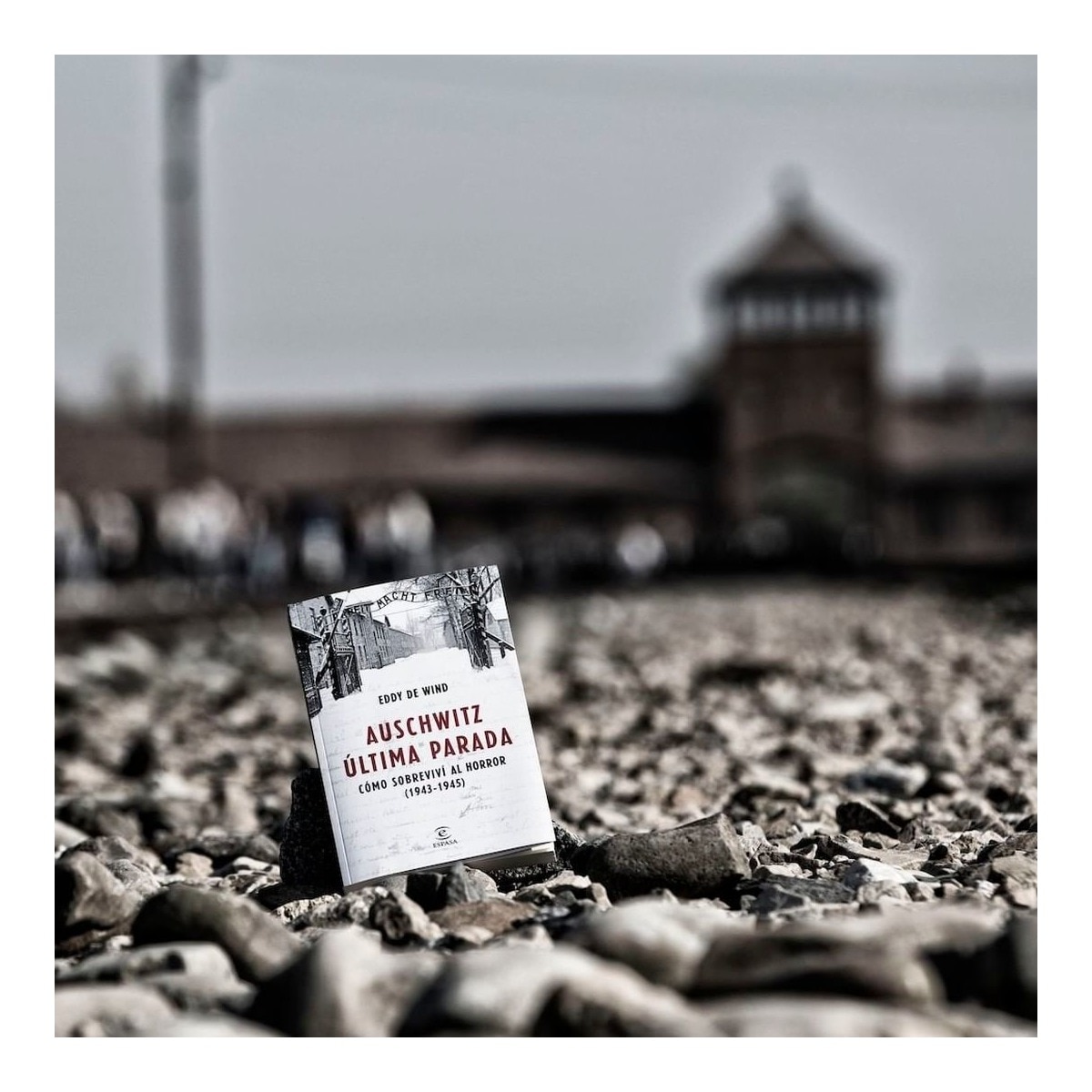 Auschwitz: última parada: Cómo sobreviví al horror (1943-1945) (Bolsillo) (Tapa blanda) 4