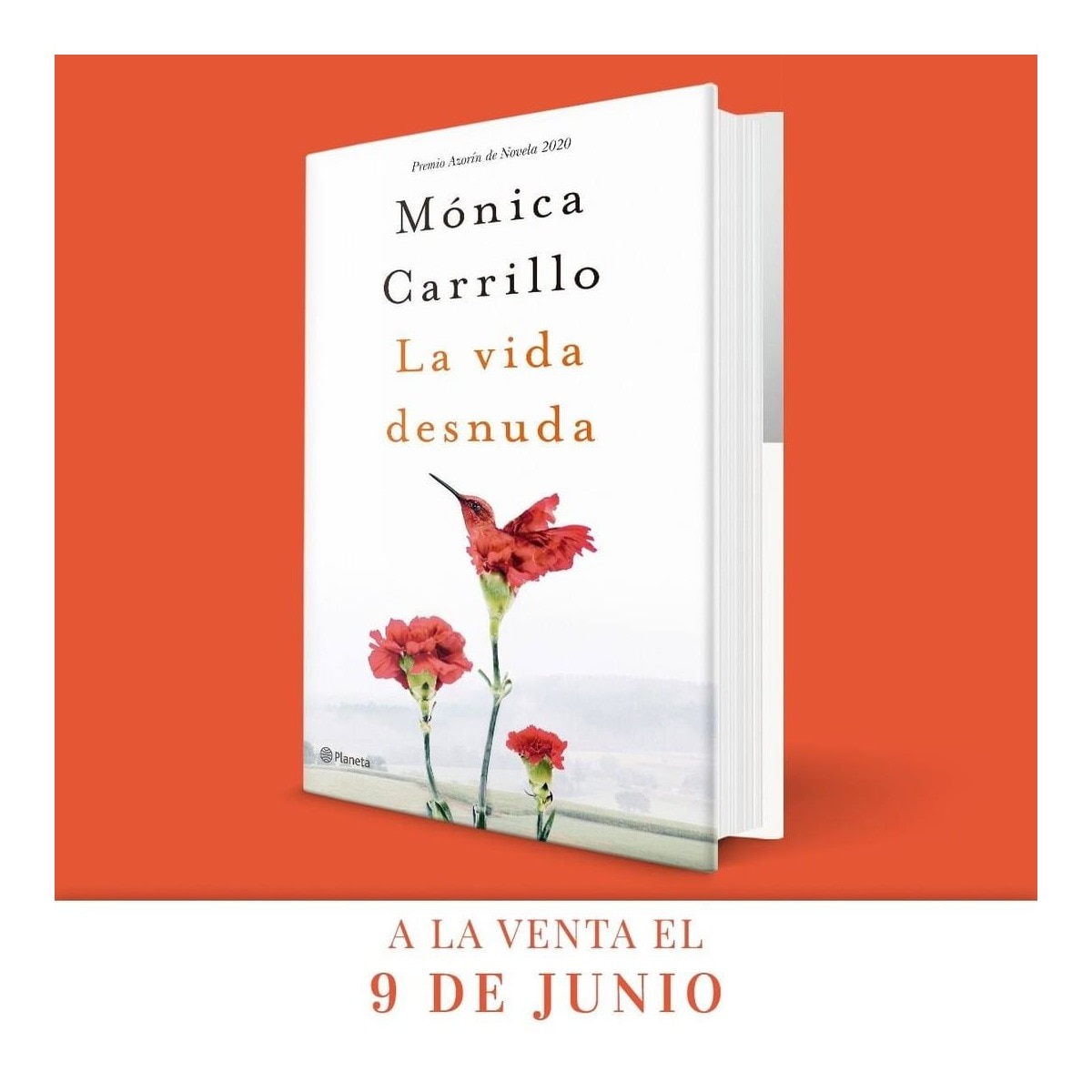 La vida desnuda: Premio Azorín de Novela 2020 (Tapa dura) 2