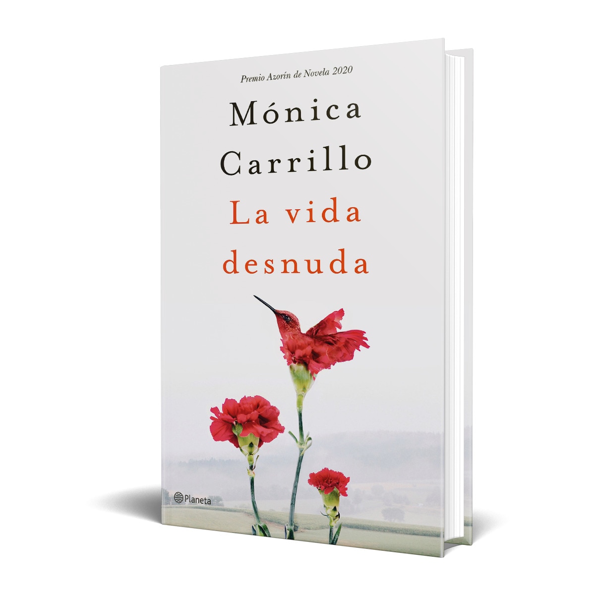 La vida desnuda: Premio Azorín de Novela 2020 (Tapa dura) 3