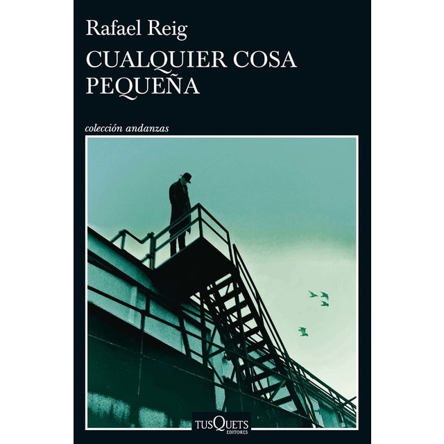 Imagen 0 de Cualquier cosa pequeña  (Tapa blanda con solapas)