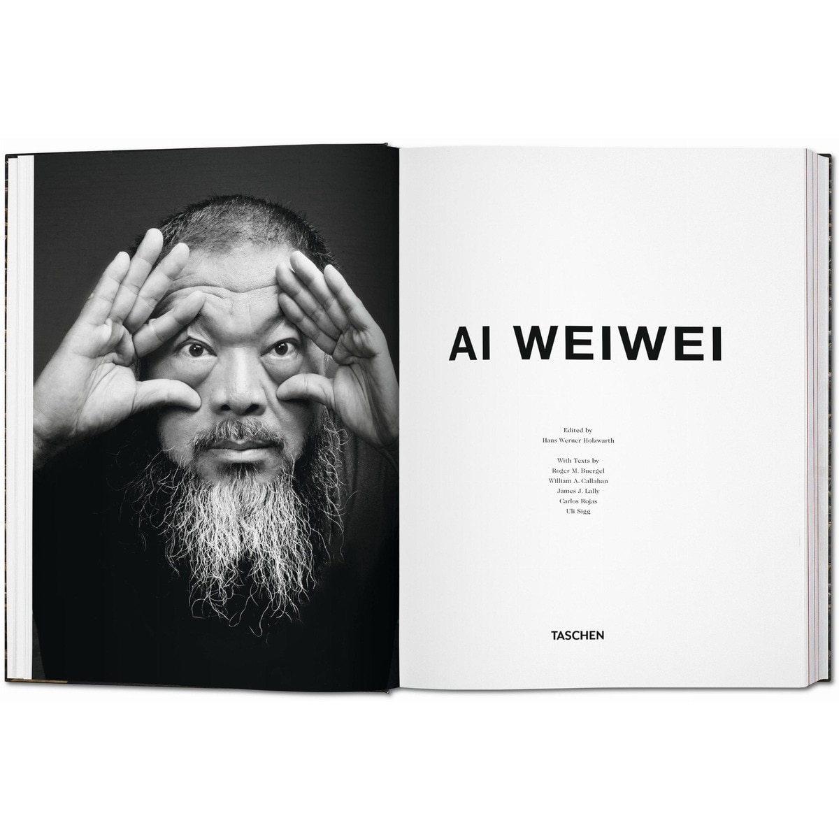 Ai Weiwei (Capa dura) 4