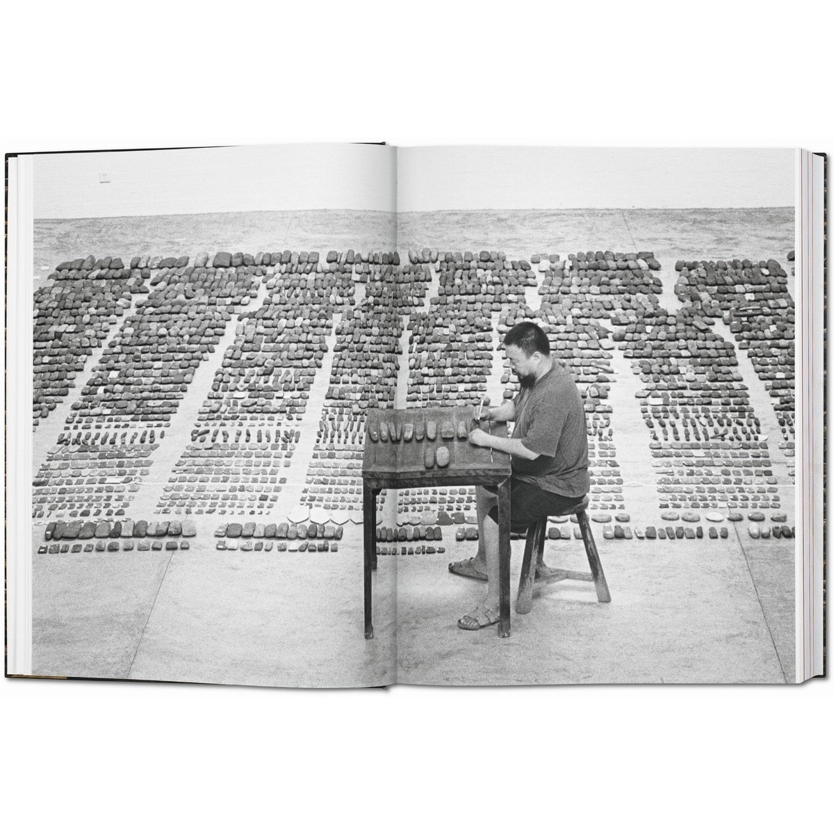 Ai Weiwei (Capa dura) 7
