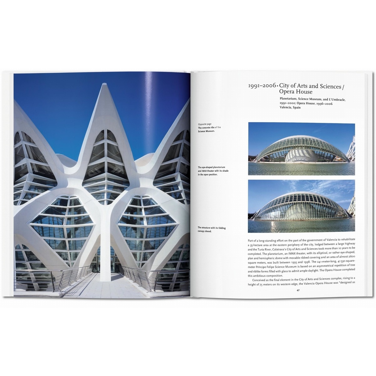 Calatrava(Tapa dura) 6