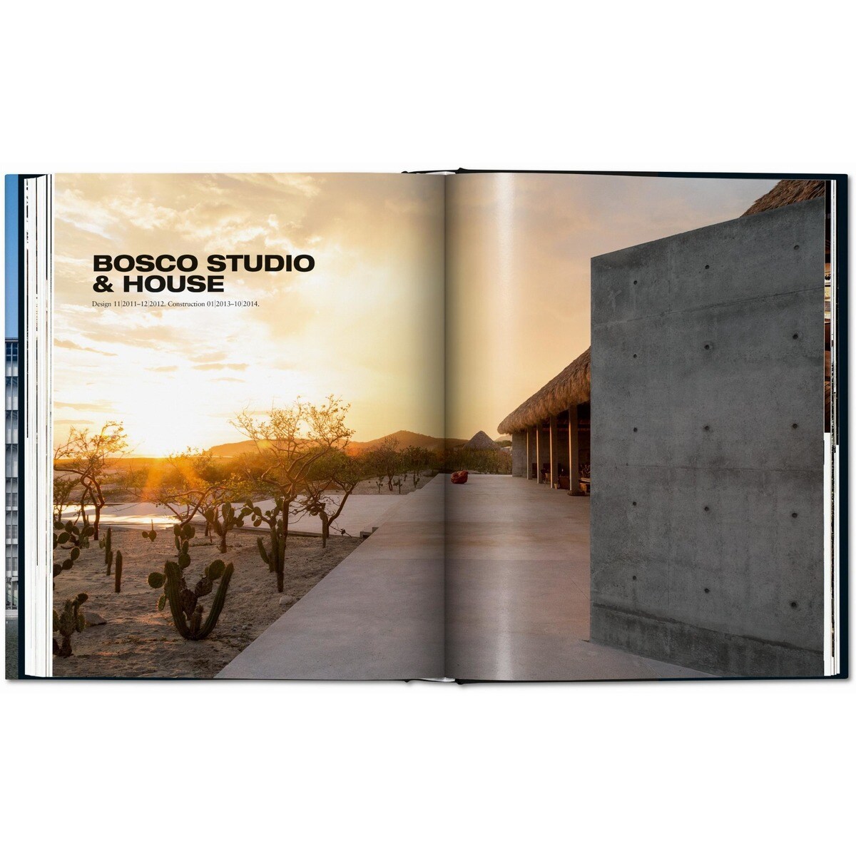 Ando. Complete Works 1975&Today (Capa dura) 2
