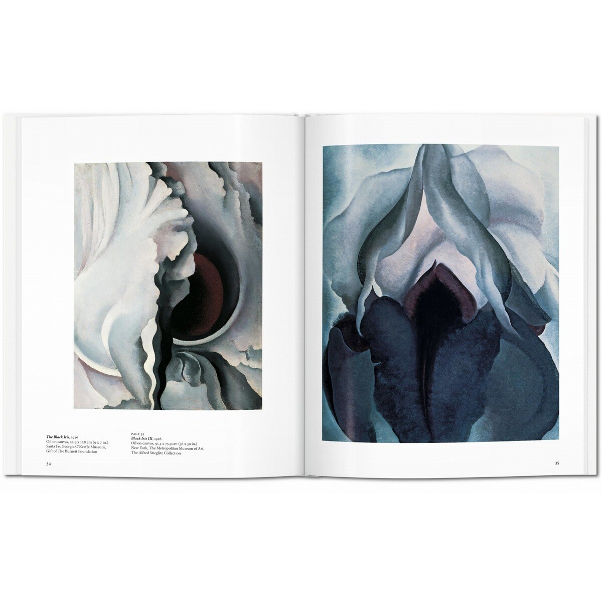 O'Keeffe (Capa dura) 5