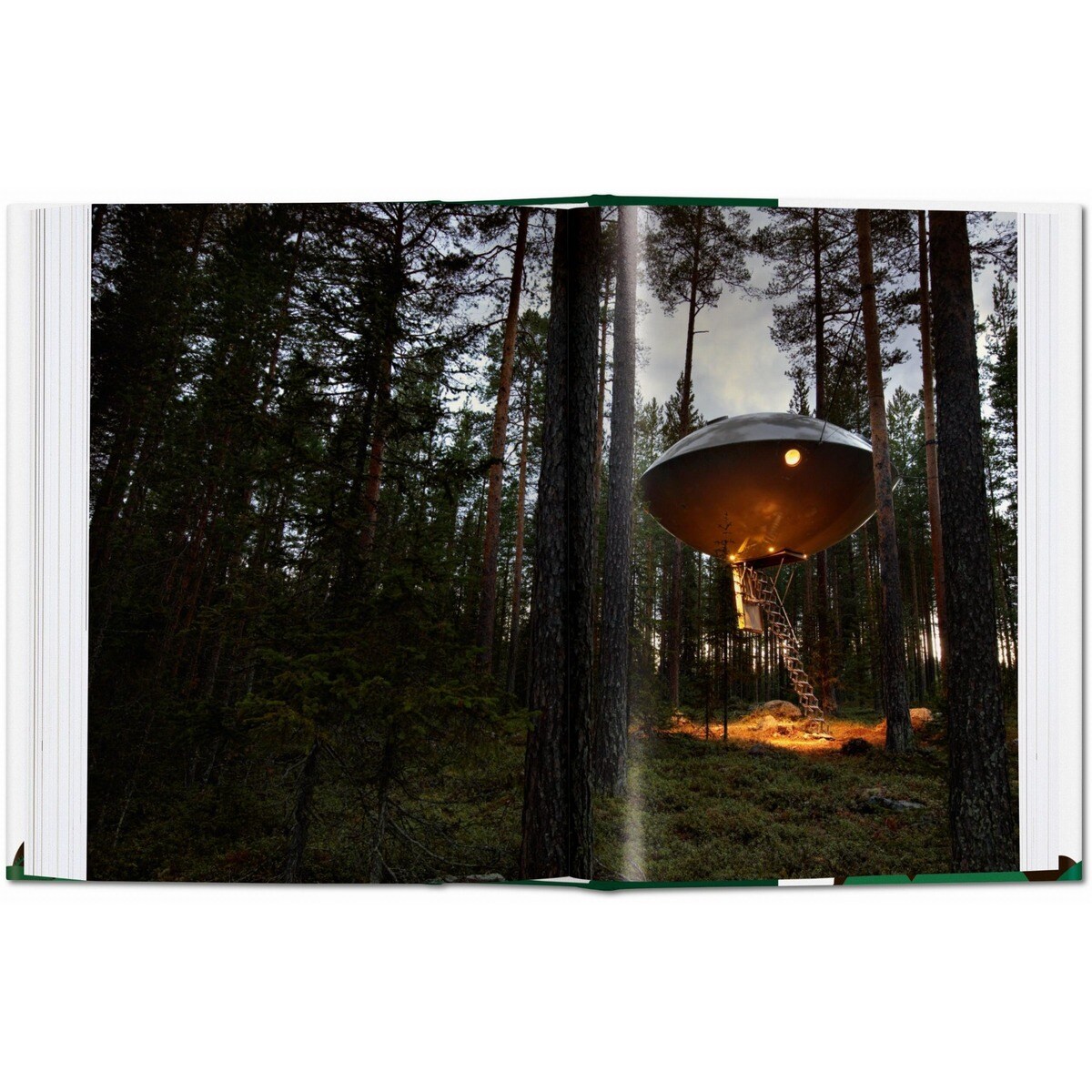 Tree Houses (Capa dura) 2