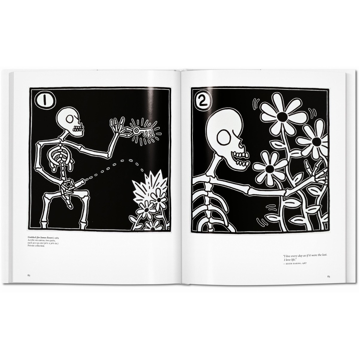 Haring (Capa dura) 5