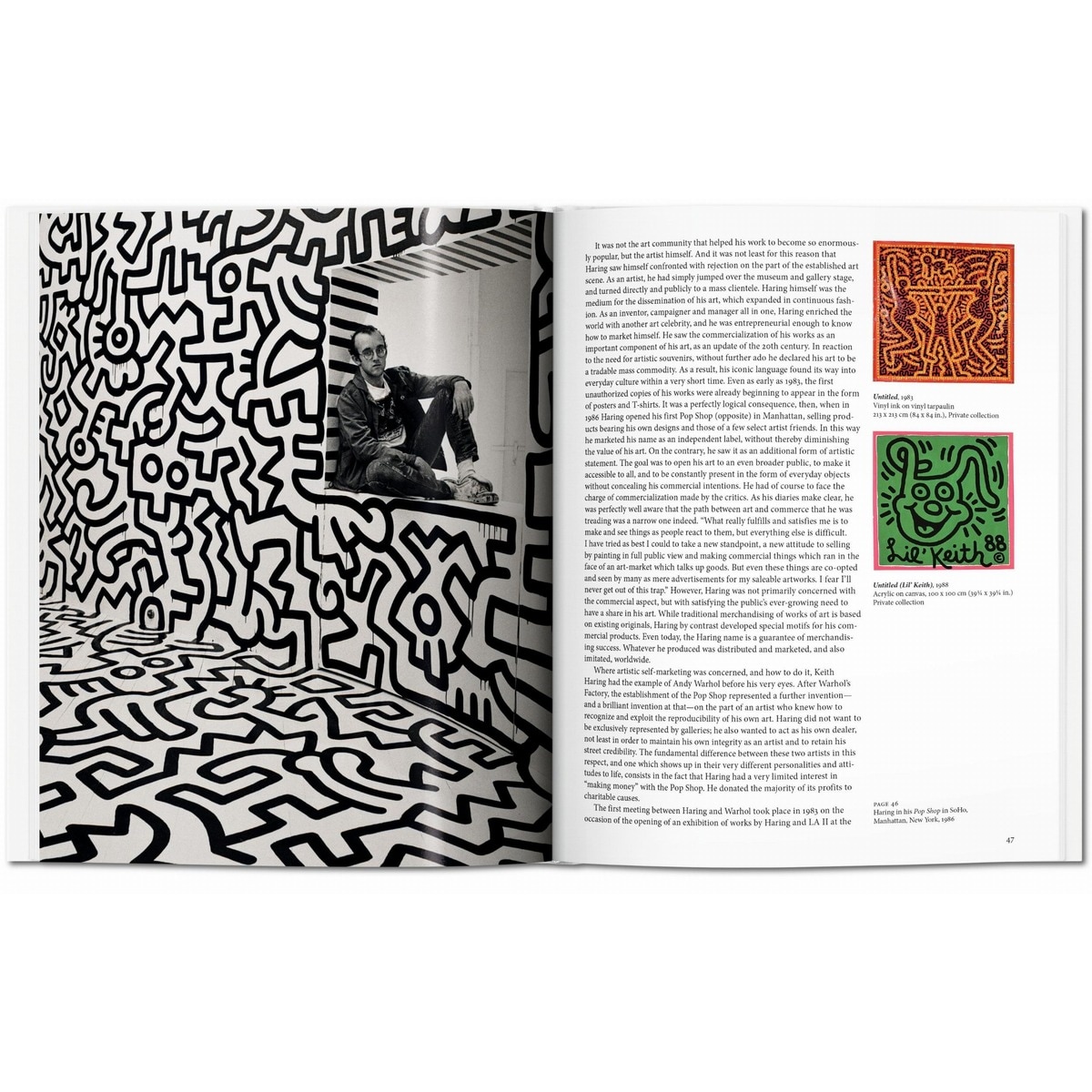 Haring (Capa dura) 6