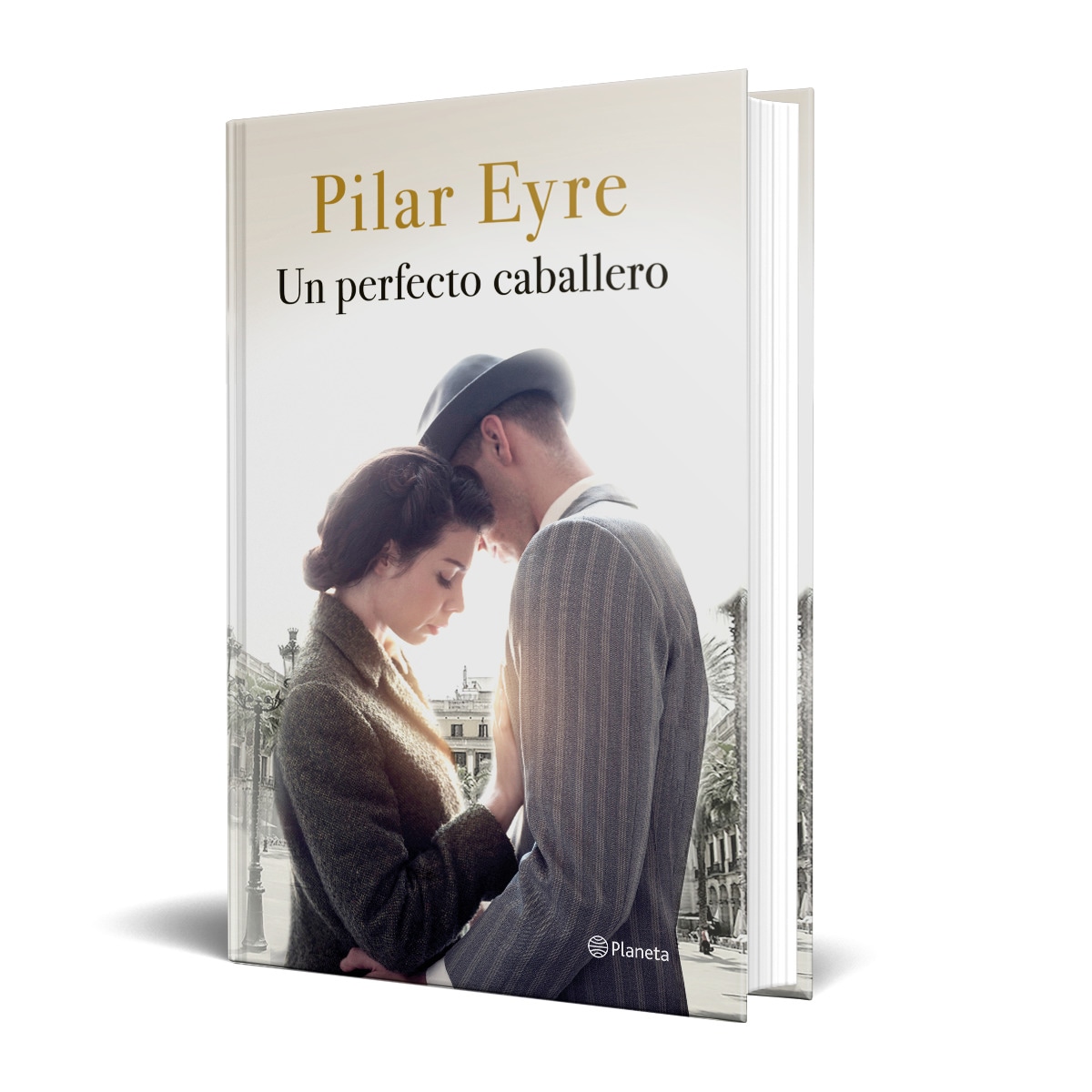 Un perfecto caballero 4