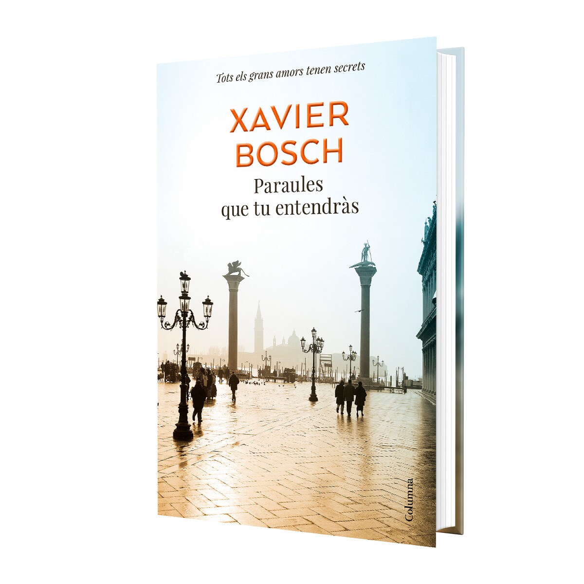 Paraules que tu entendràs (Tapa dura) 2