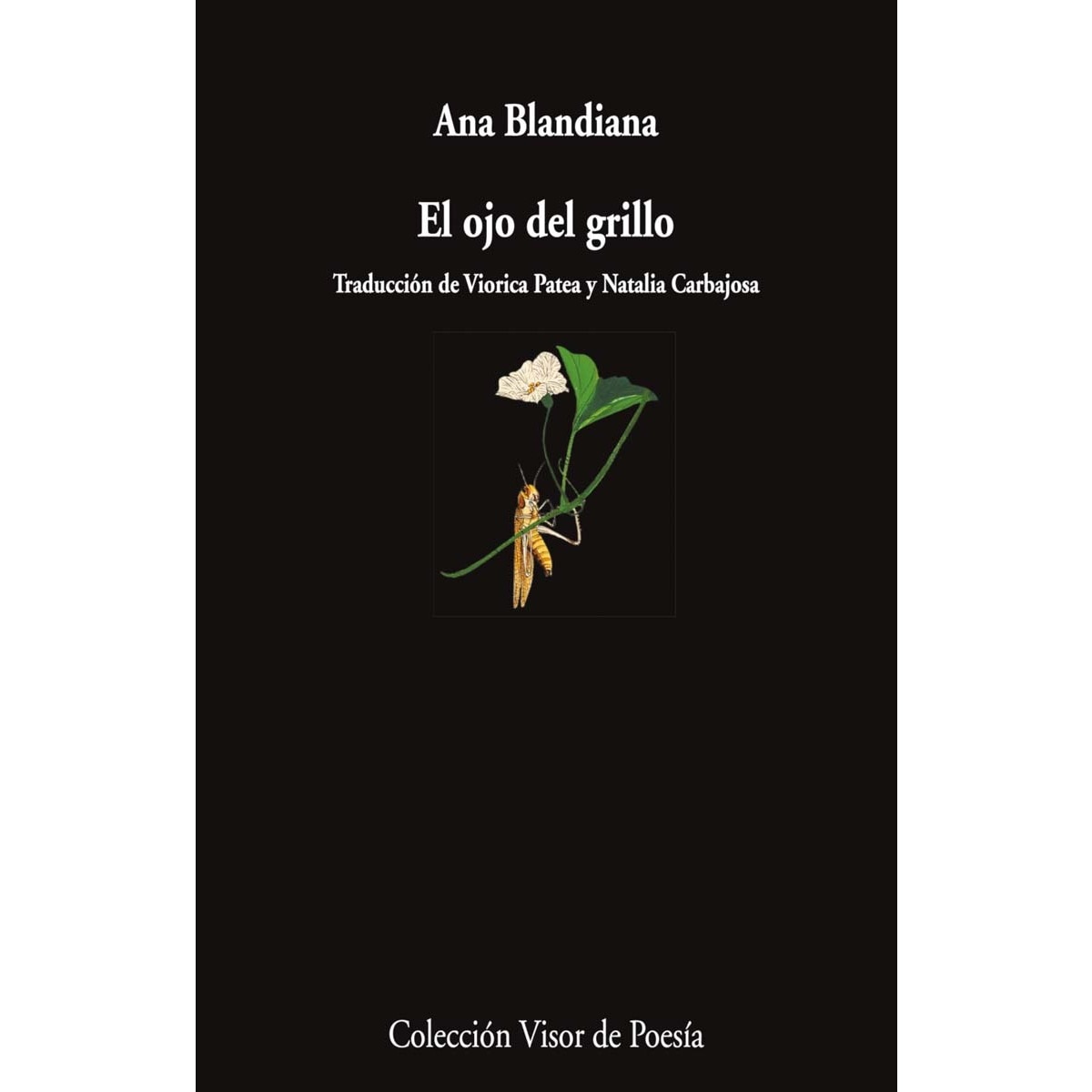 Imagem 0 de EL ojo del grillo (Capa mole com abas)