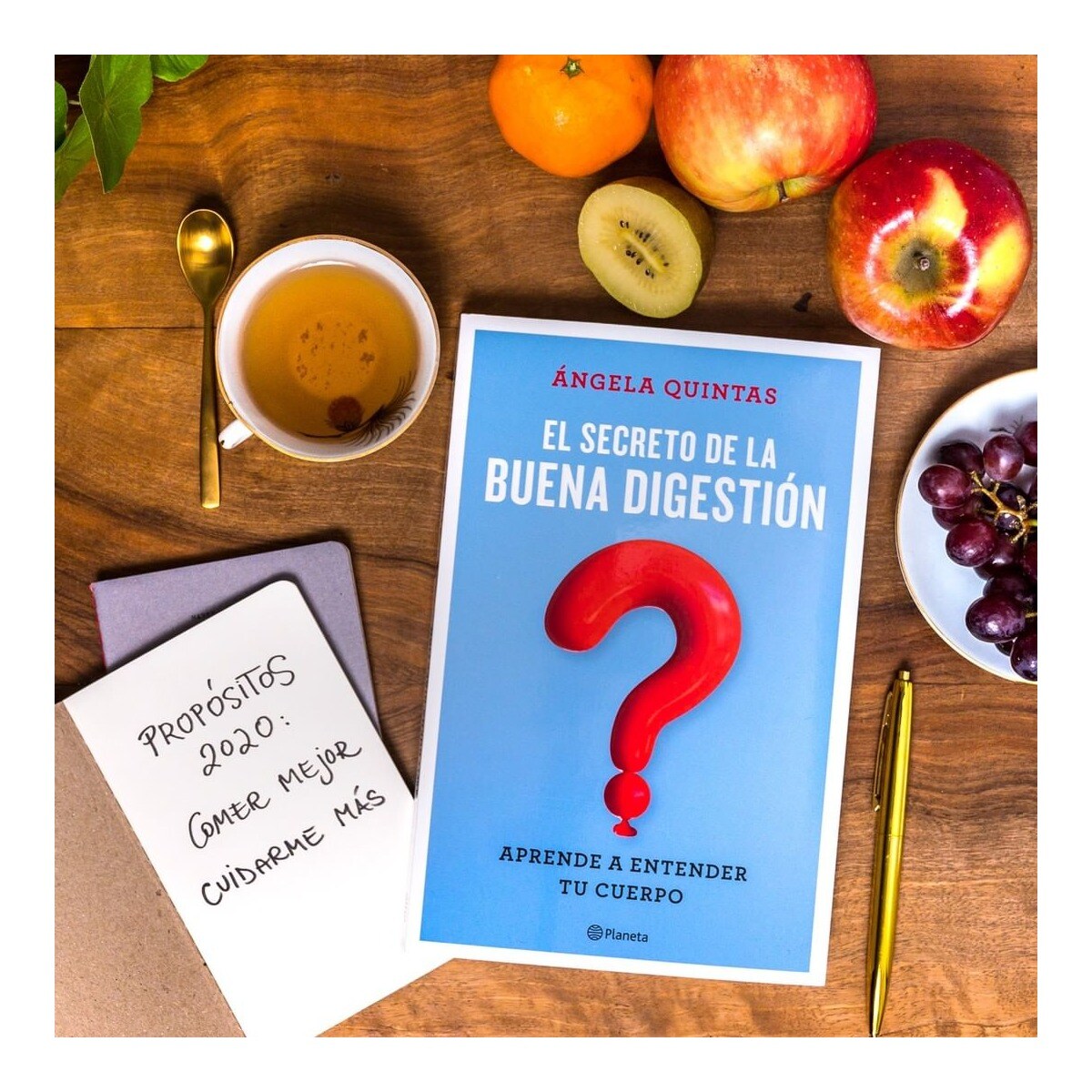 El secreto de la buena digestión: Aprende a entender tu cuerpo (Capa mole com abas) 2