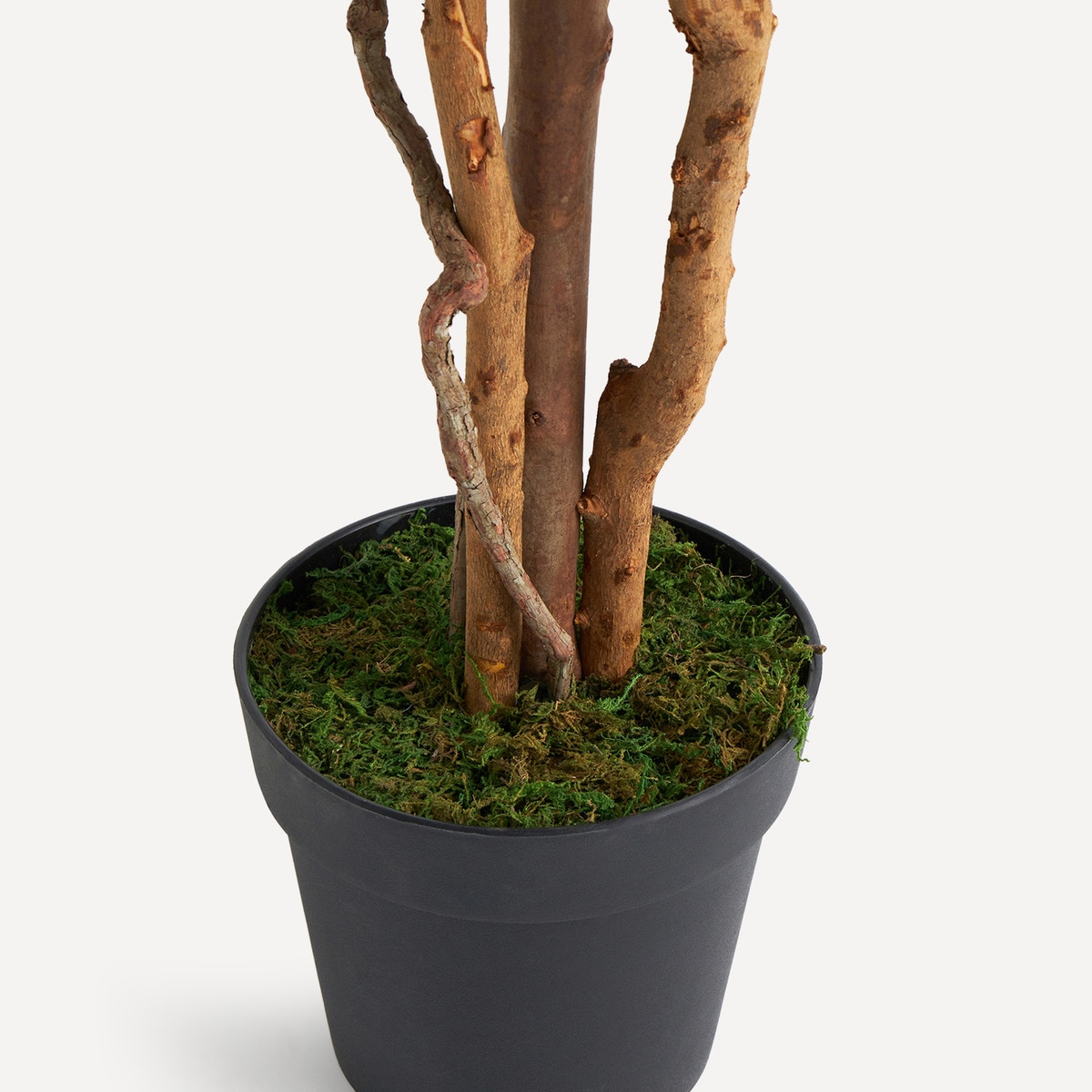Árbol artificial de Buganvilla en maceta El Corte Inglés Fucsia-3